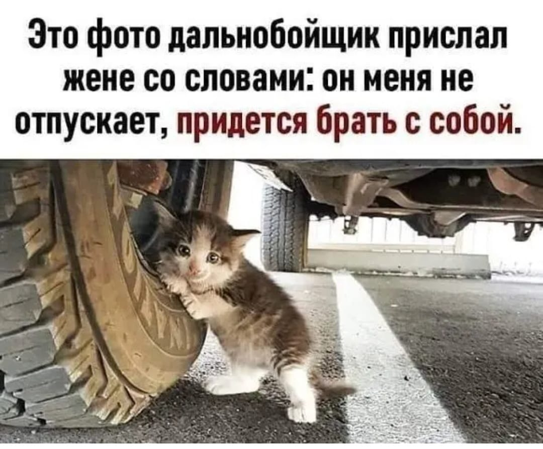 uXPmYnreOHWUFqRi8pyCsF1C8Ukru7DRTt0cba3PWV14A8MpIOyefEORT_DiiCwH-G0ts3lR.jpg