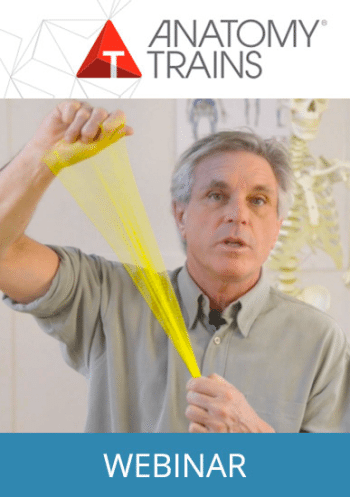 webinar-fascia-in-movement-350x497.png