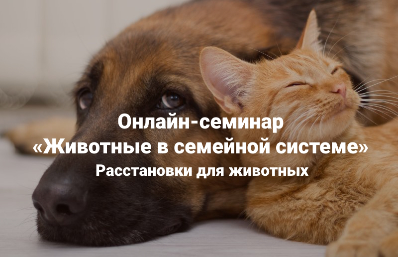 ж.jpg