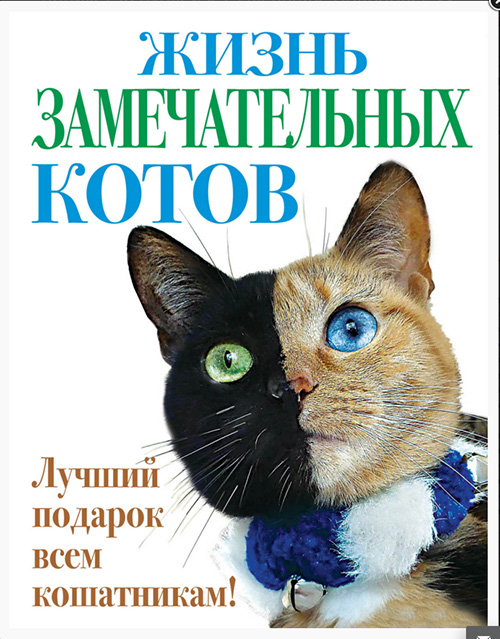 жизнь.jpg