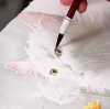 b9e481b85519bc5d2a690295faf1ddef.png