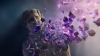 vlcsnap-2024-07-06-22h22m37s559.png