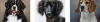 2024-09-05_15-59-34.png