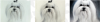 2024-09-05_15-58-40.png
