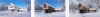 T16451qz.png