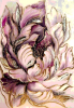 2025-07-14_232150.png
