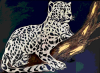2025-07-14_232406.png