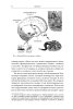 Plamper_Ya._Istoriya_Yemociyi-0007.jpg