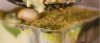 IMG_2471.jpeg