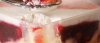 IMG_2474.jpeg