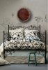 test59edb9bc1f2190.65269569.jpg