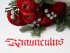 img_6775.jpg