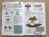 Буфер обмена013.jpg