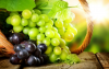 upload_2019-5-5_16-51-33.png