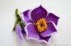 5268edf7dacdceb0cb8c328befe0--ukrasheniya-son-trava-master-klass-pdf.jpg