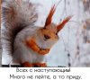 НГ-2.jpg
