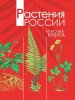 k081.cover.jpg