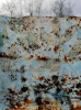 1A83D9B8-3418-4268-8E18-D9D3DABC947F.png