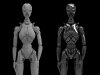 terminatrixt3_3d_model_c4d_max_obj_fbx_ma_lwo_3ds_3dm_stl_1308290_o.jpg