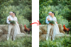 file(9).png