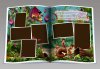 str29-30.jpg
