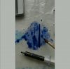 Screenshot_20201214_075322.jpg