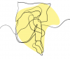 2021-09-25_05-36-17.png