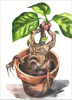 upload_2022-1-28_14-44-41.png