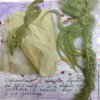 b5058c78a4bcb80d68d48eb307--materialy-dlya-tvorchestva-kurs-naturalnoe-okrashivanie.jpg