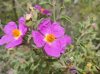 2022-08-07_00-09-41.png