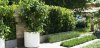 hortensia_allestimenti.jpg