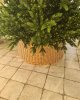 forest_fairy_home_31493.jpg