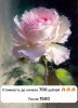 2023-08-07_09-30-54.jpg
