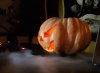 20171028_155426.jpg