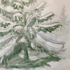 sevelev-elki1_659eb3fcbdc6c.png