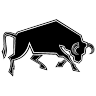 geekbull