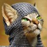surfer_cat