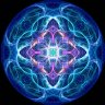 alates