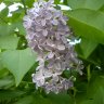 Катерина88