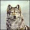 LionBest