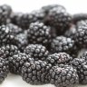 blackberry