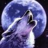 lonewolf34