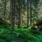 sergeevfsin88