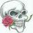 Dreif