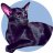 violetcat