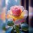 tasha_893